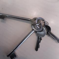 Sleutelbos vier sleutels, gisa salatu by LUMC iLost erabiliz