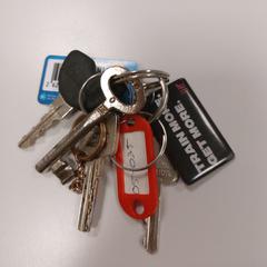 Sleutelbos met Trainmore hanger en AH Bonuskaart, a été signalé par Vrije Universiteit Amsterdam utilisant iLost