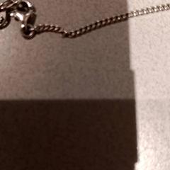 팔찌, iLost를 사용하여 De Efteling에 보고됨