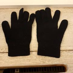 Luvas Zwart, paar, segundo informou DierenPark Amersfoort usando iLost