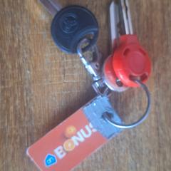 Sleutels, som rapporterats till iLost