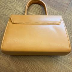 Bag, as reported by GVB using iLost