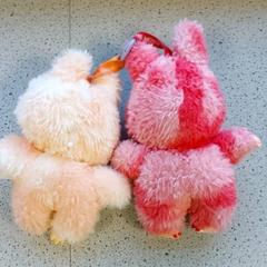 Giocattolo Knuffelbeer, come riportato da Centraal magazijn utilizzando iLost