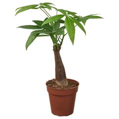 IKEA-produkt, gemeldet von IKEA Loures über iLost