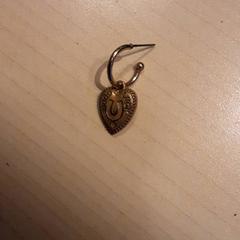 Belarritakoa, gisa salatu by LUMC iLost erabiliz