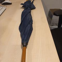 Paraplu, zoals gemeld door Arriva Limburg Zuid met iLost