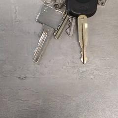 سلسلة المفاتيح Met diverse sleutelhangers، كما تم الإبلاغ عنه بواسطة Arriva Friesland / Groningen عبر iLost