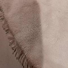 Peluche, ha sido reportado por De Efteling con iLost