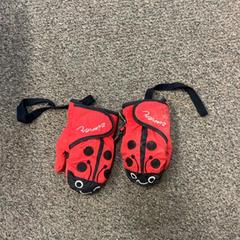 장갑 Kind, iLost를 사용하여 Burgers' Zoo에 보고됨