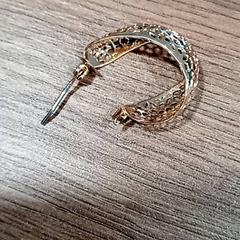 القرط، كما تم الإبلاغ عنه بواسطة CARS HANGARD عبر iLost