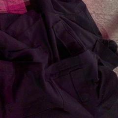 Jas zwart, come riportato da De Heeren van Aemstel utilizzando iLost