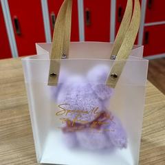 Tasje, come riportato da Connexxion Amstelland-Meerlanden Amstelveen utilizzando iLost