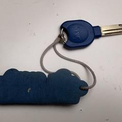 House key, come riportato a iLost