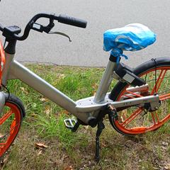 fiets an iLost gemeldet