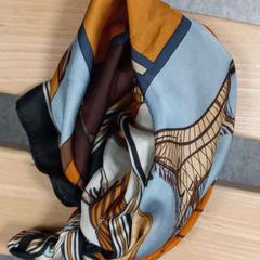 Sjal, rapporterat av Arriva West-Brabant med iLost