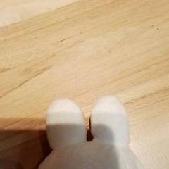 Peluche, a été signalé par Beekse Bergen Resorts en Hotel utilisant iLost