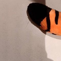 Knuffel, segundo informou De Efteling usando iLost