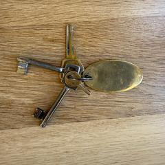 sleutelbos, som rapporterats till iLost