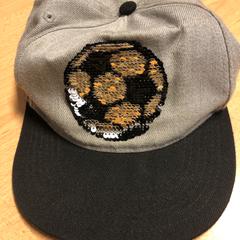 Pet, as reported by Pathé Helmond using iLost