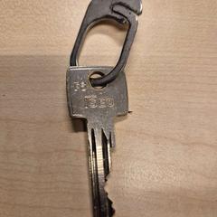 Nyckel, rapporterat av Haaglanden Medisch Centrum med iLost