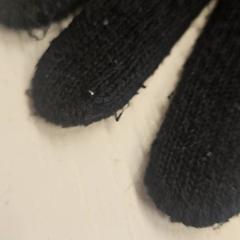 手袋 がiLostで GVB によって報告されました