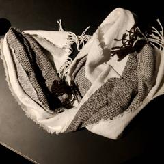 Šátek bruin wit, jak nahlášeno Universiteit Gent - Faculteitsbibliotheek LW pomocí iLost