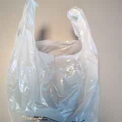 가방, iLost를 사용하여 Twisto에 보고됨