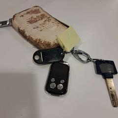 Sleutelbos Beige/Zwart, zoals gemeld door Gemeente Bloemendaal met iLost