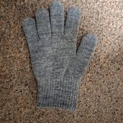 Handschuh Grijs, gemeldet von Burgers' Zoo über iLost