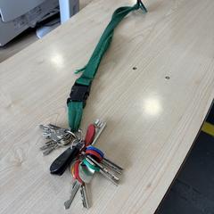 Sleutels met groen koord, iLost-i jakinarazi zaion moduan