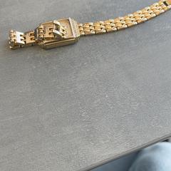 Armbåndsur, som rapportert av Arriva Achterhoek-Rivierenland ved bruk av iLost