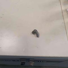 Earbud, as reported to iLost