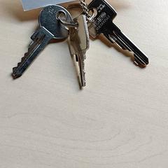 Klucze, zgłoszono przez Regio Antwerpen - Brussel przy użyciu iLost