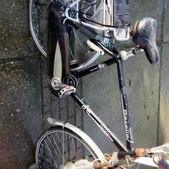 Gizonezkoen bizikleta Gazelle, gisa salatu by Stadswerk072 iLost erabiliz