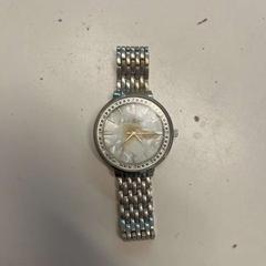 Wristwatch Zilver, as reported by Avonturenpark Hellendoorn using iLost