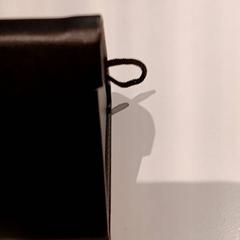 Glasögonfodral med glasögon, rapporterat av De Efteling med iLost