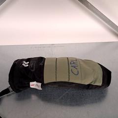 Hanske, som rapportert av Keolis Lund ved bruk av iLost