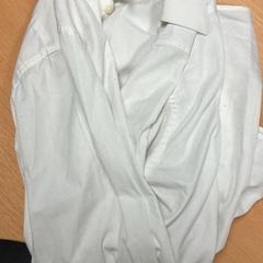 シャツ white がiLostで Sheraton Brussels Airport Hotel によって報告されました