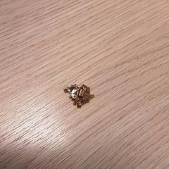 팔찌, iLost를 사용하여 Qbuzz Fryslân에 보고됨