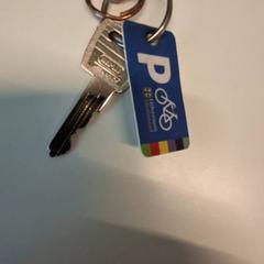 Clé met sleutelhangers & fietsparkeerkaart, a été signalé par Gemeente Hilversum utilisant iLost