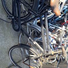 Bicicleta masculina Bsp Zwarte, segons ha informat Stadswerk072 mitjançant iLost