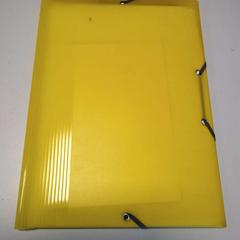 Pochette, a été signalé par Twisto utilisant iLost