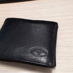 Billetera Zwart, Verbaas, ha sido reportado por Qbuzz Fryslân con iLost