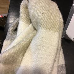 Das, segundo informou U-OV Utrecht usando iLost