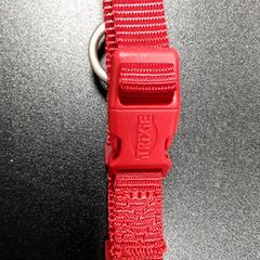 Gürtel Trixie, gemeldet von Arriva Vechtdallijnen über iLost