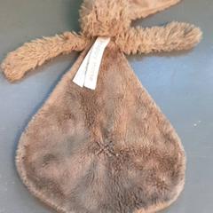 Knuffeldoek hond, segundo informou Diergaarde Blijdorp usando iLost