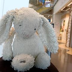 Peluix Lapin blanc, segons ha informat IKEA Rennes - Pacé mitjançant iLost