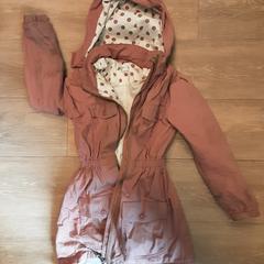 Jasje, rapporterat av Diergaarde Blijdorp med iLost