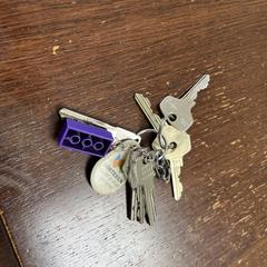 Bos Huissleutels, como reportado ao iLost