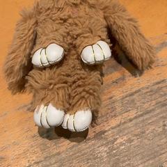 Knuffel, a été signalé par Pathé Ede utilisant iLost